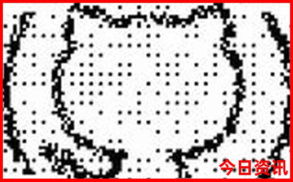北京当地参团三日游